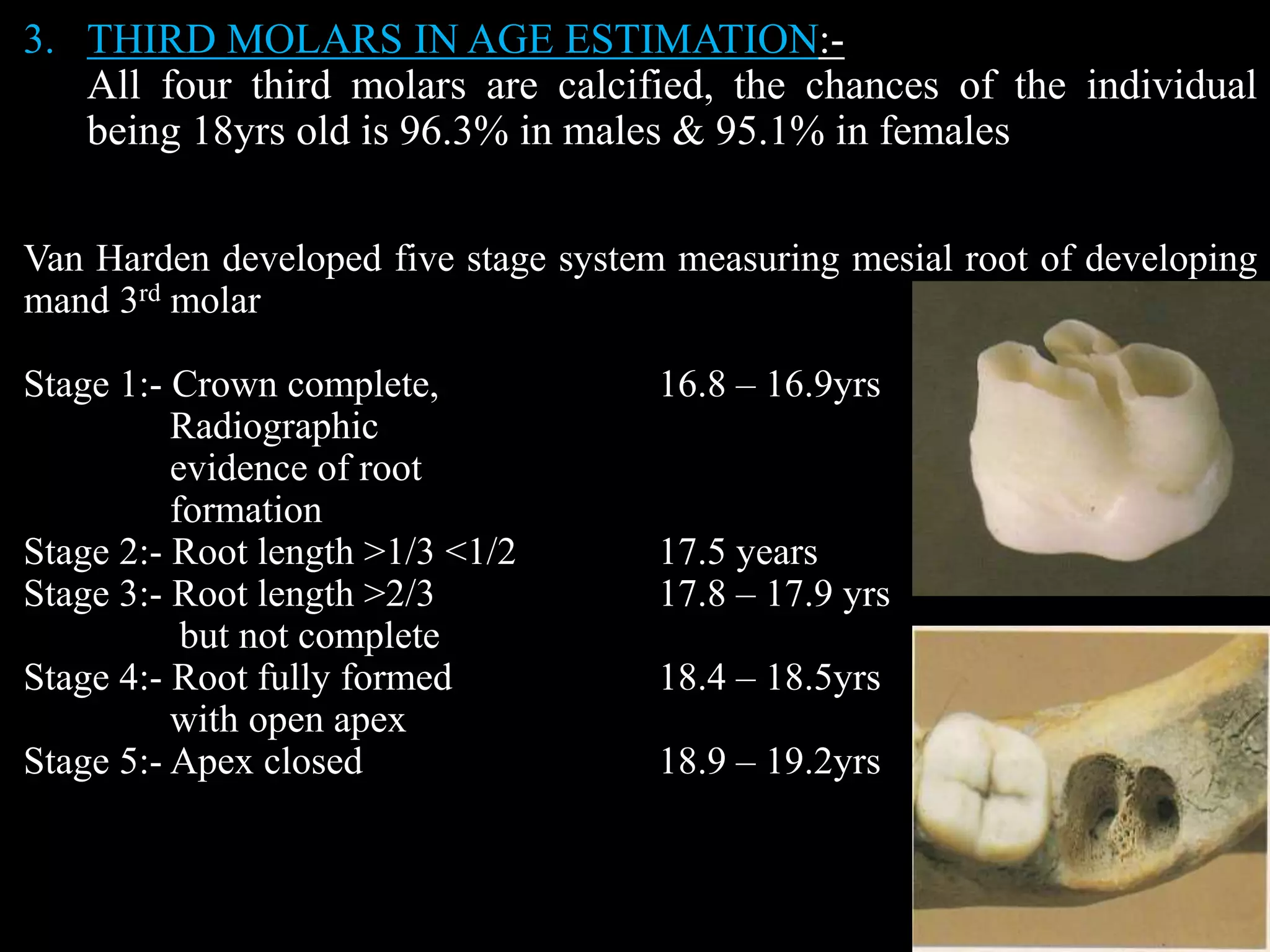3. THIRD MOLARS IN AGE ESTIMATION:-
All four third molars are calcified, the chances of the individual
being 18yrs old is 96.3% in males & 95.1% in females
Van Harden developed five stage system measuring mesial root of developing
mand 3rd molar
Stage 1:- Crown complete, 16.8 – 16.9yrs
Radiographic
evidence of root
formation
Stage 2:- Root length >1/3 <1/2 17.5 years
Stage 3:- Root length >2/3 17.8 – 17.9 yrs
but not complete
Stage 4:- Root fully formed 18.4 – 18.5yrs
with open apex
Stage 5:- Apex closed 18.9 – 19.2yrs
 