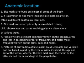 Anatomic location
1. Bite marks are found on almost all areas of the body.
2. It is common to find more than one bite mark on a victim,
often in different anatomical locations.
3. Bite marks occurred primarily in sex-related crimes,
child abuse cases and cases involving physical altercations
of various types.
4. Female victims are most commonly bitten on the breasts, arms
and legs in descending order of frequency, and males most
frequently bitten on the arms, back and hands.
5. Patterns of distribution of bite marks are discernable and variable
and are based in part by the type of crime involved, the age and
sex of the victim, whether the bite mark is on the victim or the
attacker and the sex and age of the perpetrator.
 