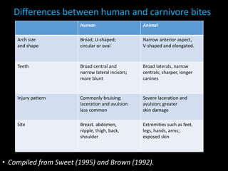 Differences between human and carnivore bites
• Compiled from Sweet (1995) and Brown (1992).
Human Animal
Arch size
and shape
Broad, U-shaped;
circular or oval
Narrow anterior aspect,
V-shaped and elongated.
Teeth Broad central and
narrow lateral incisors;
more blunt
Broad laterals, narrow
centrals; sharper, longer
canines
Injury pattern Commonly bruising;
laceration and avulsion
less common
Severe laceration and
avulsion; greater
skin damage
Site Breast. abdomen,
nipple, thigh, back,
shoulder
Extremities such as feet,
legs, hands, arms;
exposed skin
 