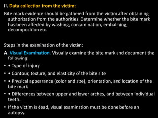 II. Data collection from the victim:
Bite mark evidence should be gathered from the victim after obtaining
authorization from the authorities. Determine whether the bite mark
has been affected by washing, contamination, embalming,
decomposition etc.
Steps in the examination of the victim:
A. Visual Examination. Visually examine the bite mark and document the
following:
• • Type of injury
• • Contour, texture, and elasticity of the bite site
• • Physical appearance (color and size), orientation, and location of the
bite mark
• • Differences between upper and lower arches, and between individual
teeth.
• If the victim is dead, visual examination must be done before an
autopsy.
 