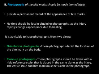 B. Photographs of the bite marks should be made immediately.
• provide a permanent record of the appearance of bite marks.
• No time should be lost in obtaining photographs, as the injury
rapidly changes appearance due to healing.
It is advisable to have photographs from two views:
• Orientation photographs -These photographs depict the location of
the bite mark on the body.
• Close-up photographs -These photographs should be taken with a
rigid reference scale that is placed in the same plane as the injury.
The entire scale and bite mark must be visible in the photograph.
 