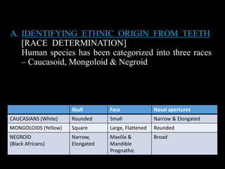 A. IDENTIFYING ETHNIC ORIGIN FROM TEETH
[RACE DETERMINATION]
Human species has been categorized into three races
– Caucasoid, Mongoloid & Negroid
Skull Face Nasal apertures
CAUCASIANS (White) Rounded Small Narrow & Elongated
MONGOLOIDS (Yellow) Square Large, Flattened Rounded
NEGROID
(Black Africans)
Narrow,
Elongated
Maxilla &
Mandible
Prognathic
Broad
 