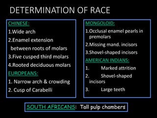 DETERMINATION OF RACE
CHINESE:
1.Wide arch
2.Enamel extension
between roots of molars
3.Five cusped third molars
4.Rooted deciduous molars
EUROPEANS:
1. Narrow arch & crowding
2. Cusp of Carabelli
MONGOLOID:
1.Occlusal enamel pearls in
premolars
2.Missing mand. incisors
3.Shovel-shaped incisors
AMERICAN INDIANS:
1. Marked attrition
2. Shovel-shaped
incisors
3. Large teeth
SOUTH AFRICANS: Tall pulp chambers
 