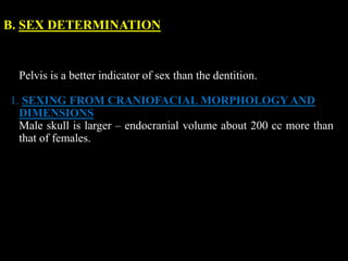 B. SEX DETERMINATION
Pelvis is a better indicator of sex than the dentition.
1. SEXING FROM CRANIOFACIAL MORPHOLOGYAND
DIMENSIONS
Male skull is larger – endocranial volume about 200 cc more than
that of females.
 
