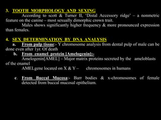 3. TOOTH MORPHOLOGY AND SEXING
According to scott & Turner II, ‘Distal Accessory ridge’ – a nonmetric
feature on the canine – most sexually dimorphic crown trait.
Males shows significantly higher frequency & more pronounced expression
than females.
4. SEX DETERMINATION BY DNA ANALYSIS
a. From pulp tissue:- Y chromosome analysis from dental pulp of male can be
done even after 1yr. Of death
b. From enamel protein [Amelogenin]:-
Amelogenin[AMEL] – Major matrix proteins secreted by the ameloblasts
of the enamel
AMELgene located on X & Y – chromosomes in humans
c. From Buccal Mucosa:- Barr bodies & x-chromosomes of female
detected from buccal mucosal epithelium.
 