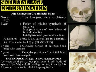 SKELETAL AGE
DETERMINATION
Age Changes in Craniofacial Bones
Neonatal : Edentulous jaws, orbit size relatively
large
I year : Fusion of midline symphysis of
mandible
Metopic sutures of two halves of
frontal bone fuse
Lat. Sphenoidal synchondrose fuse
Fontanelles : Post & ant. Lateral fuse by 3 months.
Ant. Fontanelle by 1 ½ yr (18 MONTHS).
3 years : Condylar portion of occipital bone
fuses with squama
5 years : Condylar position of occipital bone
fuses with basoocciput.
SPHENOOCCIPITAL SYNCHONDROSIS
[between basal part of occipital bone & adj. body of
sphenoid] – Major skull cartilage centre, fuses by 18-
21 years – most useful skeletal ageing factor.
 