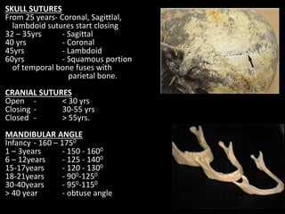 SKULL SUTURES
From 25 years- Coronal, Sagittlal,
lambdoid sutures start closing
32 – 35yrs - Sagittal
40 yrs - Coronal
45yrs - Lambdoid
60yrs - Squamous portion
of temporal bone fuses with
parietal bone.
CRANIAL SUTURES
Open - < 30 yrs
Closing - 30-55 yrs
Closed - > 55yrs.
MANDIBULAR ANGLE
Infancy - 160 – 1750
1 – 3years - 150 - 1600
6 – 12years - 125 - 1400
15-17years - 120 - 1300
18-21years - 900-1250
30-40years - 950-1150
> 40 year - obtuse angle
 