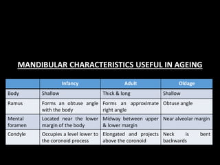 Infancy Adult Oldage
Body Shallow Thick & long Shallow
Ramus Forms an obtuse angle
with the body
Forms an approximate
right angle
Obtuse angle
Mental
foramen
Located near the lower
margin of the body
Midway between upper
& lower margin
Near alveolar margin
Condyle Occupies a level lower to
the coronoid process
Elongated and projects
above the coronoid
Neck is bent
backwards
MANDIBULAR CHARACTERISTICS USEFUL IN AGEING
 
