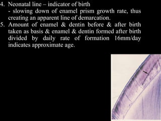 4. Neonatal line – indicator of birth
- slowing down of enamel prism growth rate, thus
creating an apparent line of demarcation.
5. Amount of enamel & dentin before & after birth
taken as basis & enamel & dentin formed after birth
divided by daily rate of formation 16mm/day
indicates approximate age.
 