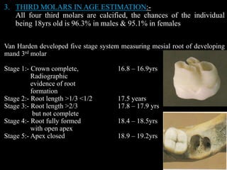 3. THIRD MOLARS IN AGE ESTIMATION:-
All four third molars are calcified, the chances of the individual
being 18yrs old is 96.3% in males & 95.1% in females
Van Harden developed five stage system measuring mesial root of developing
mand 3rd molar
Stage 1:- Crown complete, 16.8 – 16.9yrs
Radiographic
evidence of root
formation
Stage 2:- Root length >1/3 <1/2 17.5 years
Stage 3:- Root length >2/3 17.8 – 17.9 yrs
but not complete
Stage 4:- Root fully formed 18.4 – 18.5yrs
with open apex
Stage 5:- Apex closed 18.9 – 19.2yrs
 