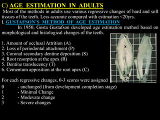 C) AGE ESTIMATION IN ADULTS
Most of the methods in adults use various regressive changes of hard and soft
tissues of the teeth. Less accurate compared with estimation <20yrs.
I. GUSTAFSON’S METHOD OF AGE ESTIMATION
In 1950, Gosta Gustafson developed age estimation method based on
morphological and histological changes of the teeth.
1. Amount of occlusal Attrition (A)
2. Loss of periodontal attachment (P)
3. Coronal secondary dentine deposition (S)
4. Root resorption at the apex (R)
5. Dentine translucency (T)
6. Cementum apposition at the root apex (C)
For each regressive changes, 0-3 scores were assigned
0 - unchanged (from development completion stage)
1 - Minimal Change
2 - Modevate change
3 - Severe changes
A
P
S
R
T
C
 