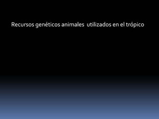 Recursos genéticos animales  utilizados en el trópico
 