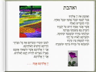 Rabbi Galit's Ma'ariv 2016