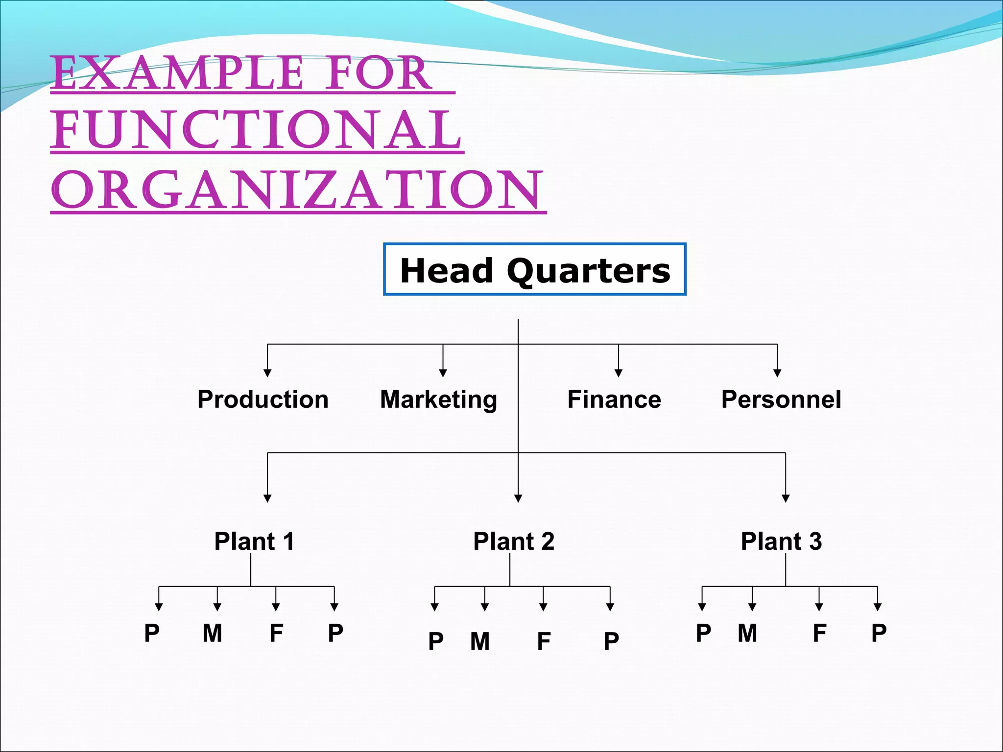 ExamplE for
fUNCTIoNal
orGaNIZaTIoN
Head Quarters
Production Marketing Finance Personnel
Plant 1 Plant 2 Plant 3
P M F P P PM MF FP P
 