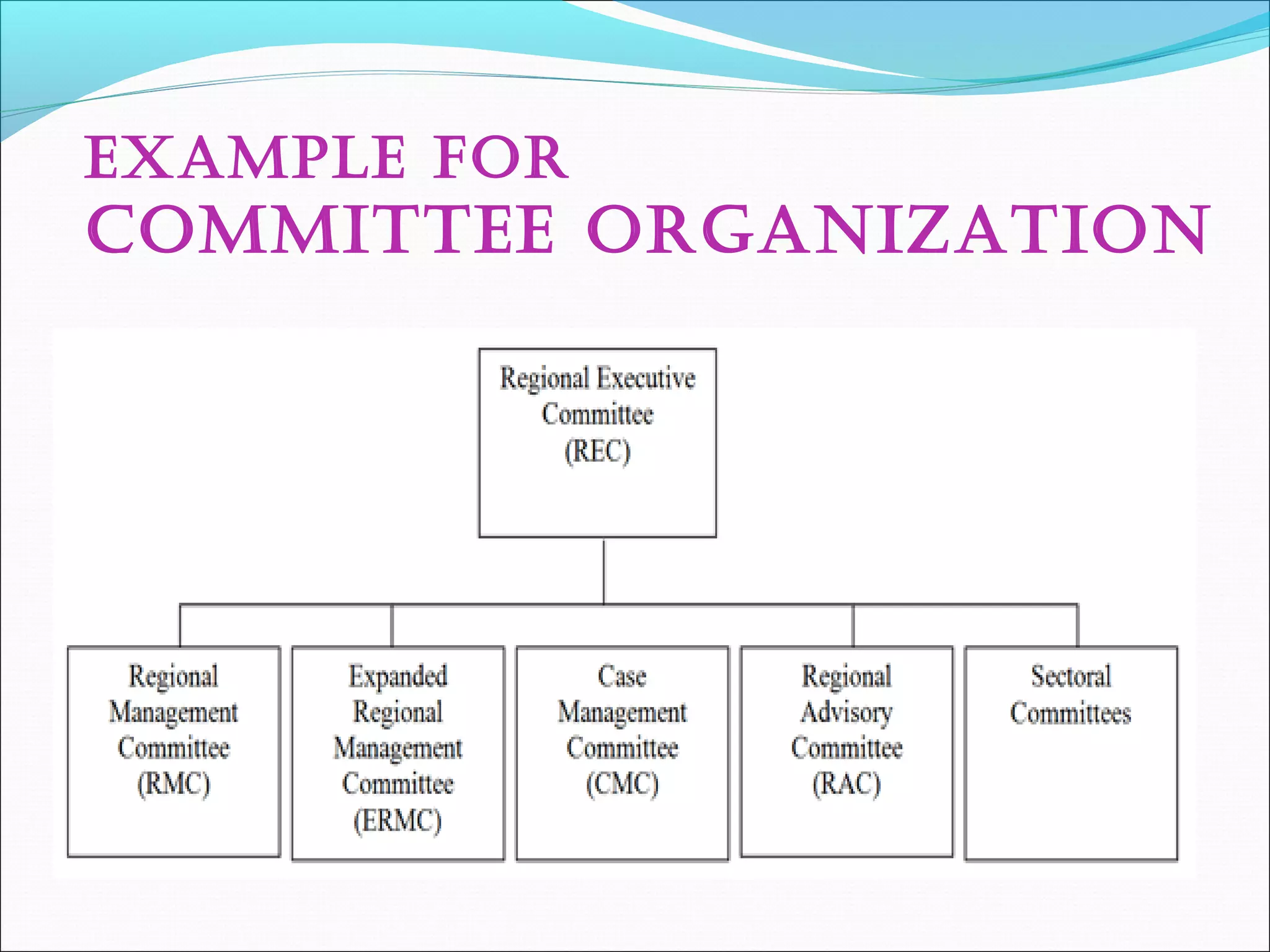 ExamplE for
CommITTEE orGaNIZaTIoN
 
