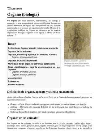 Órganos principales y sistema
cardiovascular y genito-urinario de
una mujer (Leonardo da Vinci, 1507).
Órgano (biología)
Un órgano (del latín órganum, ‘herramienta’), en biología y
anatomía, es una agrupación de diversos tejidos que forman una
unidad estructural encargada del cumplimiento de una función
determinada en el seno de un organismo pluricelular.
Dentro de la
complejidad biológica los órganos se encuentran en un nivel de
organización biológica superior a los tejidos e inferior al de un
sistema.1 ​
2 ​
Definición de órgano, aparato y sistema en anatomía
Órganos de los animales
Órganos, sistemas y aparatos en anatomía humana
Órganos por zona anatómica
Órganos en plantas superiores
Morfología de los órganos: estroma y parénquima
Otras clasificaciones para la denominación de los
órganos
Órganos animales: vísceras
Órganos macizos y huecos
Véase también
Referencias
Enlaces externos
Jiménez-Castellanos, Catalina Herrera y Carmona Bono, en su Anatomía humana general, proponen las
siguientes definiciones:3 ​
Órgano —Parte diferenciada del cuerpo que participa en la realización de una función.
Aparato —Conjunto de órganos distintos en su estructura que contribuyen a realizar la
misma función.
Sistema -Conjunto de órganos con igual estructura y origen embriológico.
Los órganos de los animales, incluido el ser humano, son el corazón, pulmón, cerebro, ojos, lengua,
estómago, bazo, huesos, páncreas, riñón, hígado, intestinos, piel (el mayor órgano de todos), vejiga, y los
órganos que componen el aparato reproductor: los femeninos (ovarios, clítoris, útero) y los masculinos
Índice
Definición de órgano, aparato y sistema en anatomía
Órganos de los animales
 