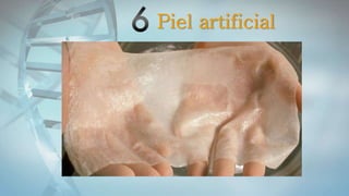 Piel artificial
 
