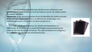 Investigadores españoles han ideado un procedimiento para
generar estructuras similares a la de los huesos a partir de células madre
de cordón umbilical.
Obtención: se ha obtenido gracias al uso de plantillas de carbón activado,
en las que, las células proliferan y se diferencian, dando lugar a un
material que podría emplearse con fines terapéuticos.
Además de multiplicarse, las células mesenquimales se
diferencian. El resultado es un material biológico que presenta buena
parte de las características del hueso. “Es capaz de fabricar el colágeno y
los minerales que forman las estructuras óseas.
 
