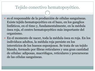 Tejido conectivo hematopoyético.
 es el responsable de la producción de células sanguíneas.
Existe tejido hematopoyético en el bazo, en los ganglios
linfáticos, en el timo y, fundamentalmente, en la médula
ósea roja, el centro hematopoyético más importante del
organismo.
 En el momento de nacer, toda la médula ósea es roja. En los
individuos adultos, la médula roja persiste en los
intersticios de los huesos esponjosos. Se trata de un tejido
blando, formado por fibras reticulares y una gran cantidad
de células: adiposas, macrófagos, reticulares y precursoras
de las células sanguíneas.
 