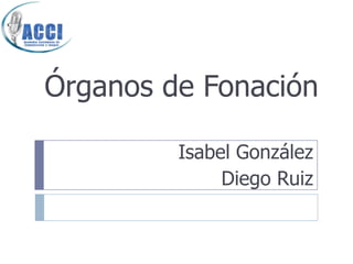 Órganos de Fonación

         Isabel González
              Diego Ruiz
 