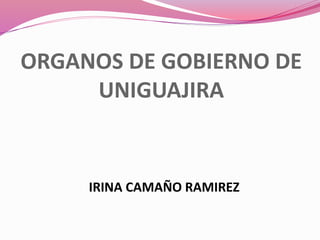 IRINA CAMAÑO RAMIREZ
ORGANOS DE GOBIERNO DE
UNIGUAJIRA
 