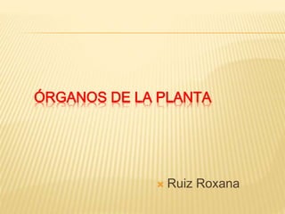ÓRGANOS DE LA PLANTA
 Ruiz Roxana
 