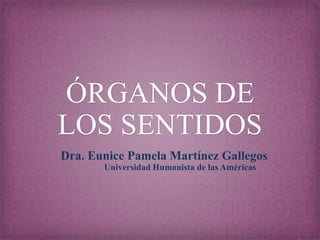 ÓRGANOS DE
LOS SENTIDOS
Dra. Eunice Pamela Martínez Gallegos
Universidad Humanista de las Américas

 