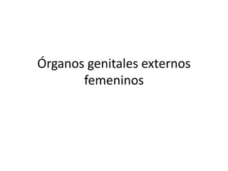 Órganos genitales externos
femeninos
 
