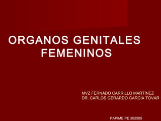 ORGANOS GENITALES
    FEMENINOS


         MVZ FERNADO CARRILLO MARTÍNEZ
         DR. CARLOS GERARDO GARCÍA TOVAR



                    PAPIME PE 202505
 