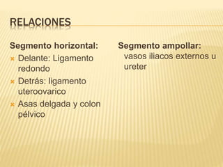 RELACIONES
Segmento horizontal:
 Delante: Ligamento
redondo
 Detrás: ligamento
uteroovarico
 Asas delgada y colon
pélvico
Segmento ampollar:
vasos iliacos externos u
ureter
 