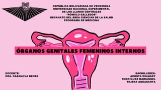 ÓRGANOS GENITALES FEMENINOS INTERNOS
REPÚBLICA BOLIVARIANA DE VENEZUELA
UNIVERSIDAD NACIONAL EXPERIMENTAL
DE LOS LLANOS CENTRALES
“RÓMULO GALLEGOS”
DECANATO DEL ÁREA CIENCIAS DE LA SALUD
PROGRAMA DE MEDICINA
BACHILLERES:
ACOSTA WILMARY
RODRIGUEZ MARIANGEL
TEJERA AGUASANTA
DOCENTE:
DRA. CASANOVA DENEB
 