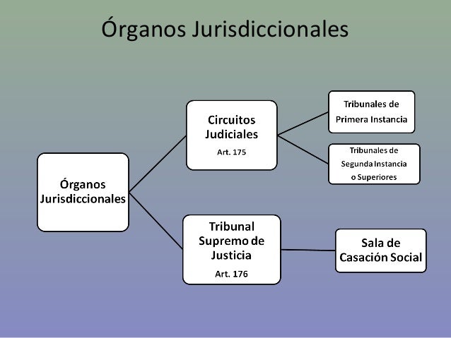 Que Es Un Organo En Derecho