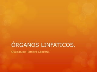 ÓRGANOS LINFATICOS.
Guadalupe Romero Cabrera.
 