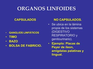 ORGANOS LINFOIDES

     CAPSULADOS             NO CAPSULADOS.
                        • Se ubica en la lámina
                          propia de los sistemas
• GANGLIOS LINFÁTICOS     (DIGESTIVO
• TIMO                    RESPIRATORIO y
                          genitourinario).
• BAZO
                        • Ejemplo: Placas de
• BOLSA DE FABRICIO.      Peyer de íleon,
                          amígdalas palatinas y
                          lingual.
 