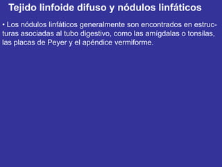 Tejido linfoide difuso y nódulos linfáticos
• Los nódulos linfáticos generalmente son encontrados en estruc-
turas asociadas al tubo digestivo, como las amígdalas o tonsilas,
las placas de Peyer y el apéndice vermiforme.
 