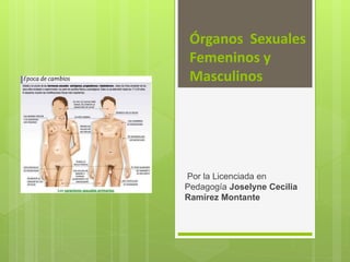 Órganos Sexuales
Femeninos y
Masculinos
Por la Licenciada en
Pedagogía Joselyne Cecilia
Ramírez Montante
 