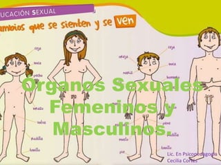Órganos Sexuales
Femeninos y
Masculinos.
Lic. En Psicopedagogía
Cecilia Cortés
 