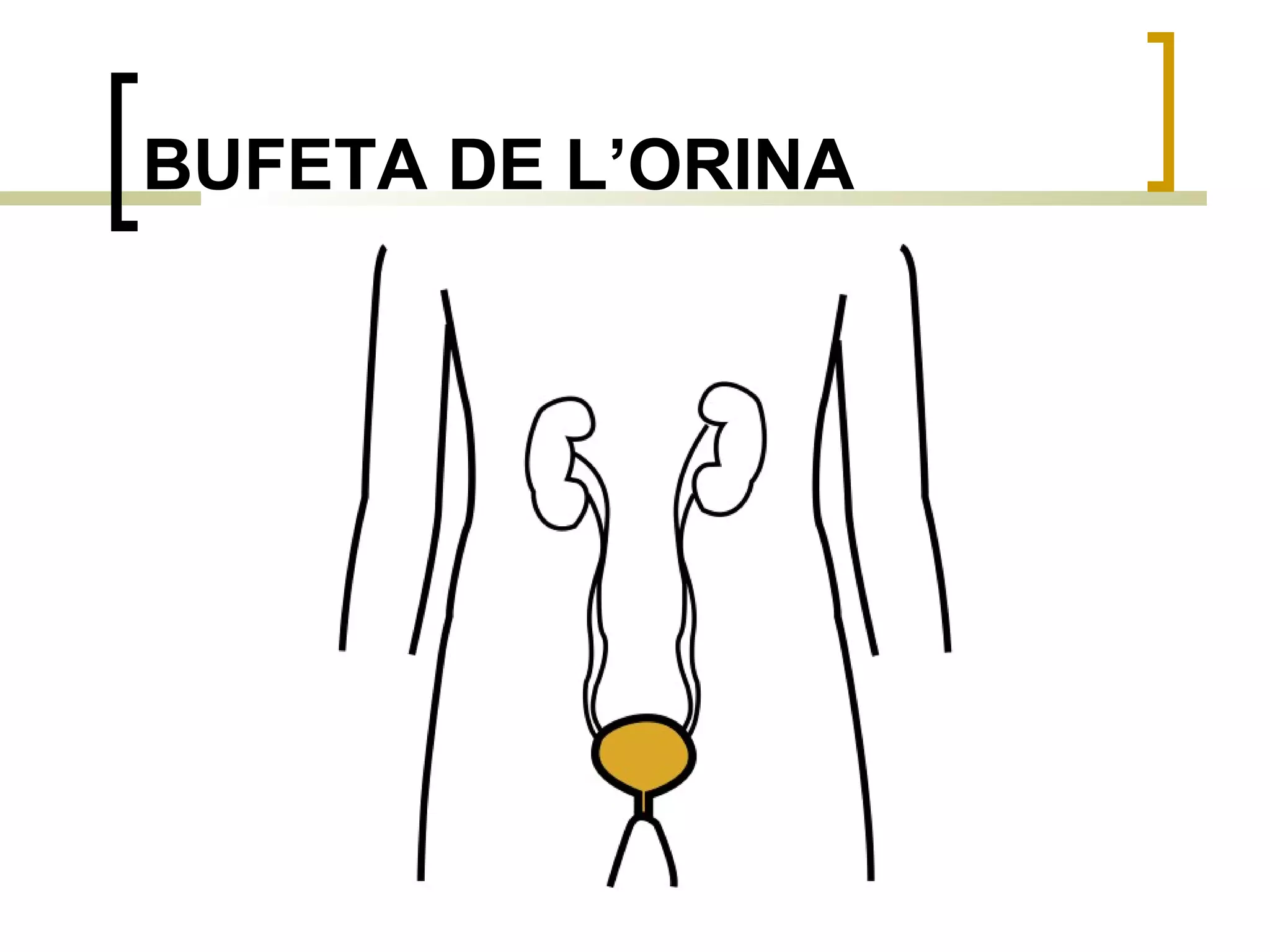 BUFETA DE L’ORINA 