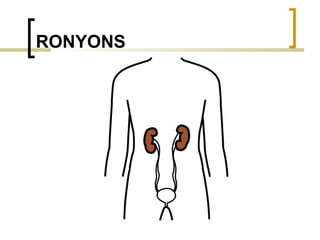 RONYONS 