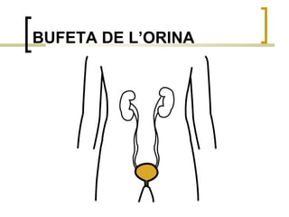 BUFETA DE L’ORINA 