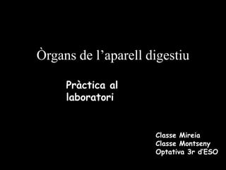 Òrgans de l’aparell digestiu
Pràctica al
laboratori

Classe Mireia
Classe Montseny
Optativa 3r d’ESO

 