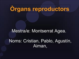 Òrgans reproductors


 Mestra/e: Montserrat Agea.

Noms: Cristian, Pablo, Agustín,
            Aiman,
 