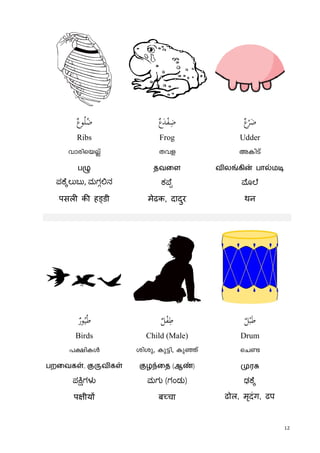 12
xٌ‫ﻮع‬ُ‫ﻠ‬ُ‫ﺿ‬ ٌ‫ع‬َ‫ﺪ‬ْ‫ﻔ‬ِ‫ﺿ‬ ٌ‫ع‬ْ‫ﺮ‬َ‫ﺿ‬
Ribs Frog Udder
hmcnsbñv Xhf AInSv
பழு தவைள விலங்கின் பால்மடி
ಪ ೆ ಲುಬು, ಮಗ ನ
ಎಲುಬು
ಕ ೆ ೆ
पसल क ह डी मेढक, दादुर थन
 6
ٌ‫ﻮر‬ُ‫ﻴ‬ُ‫ﻃ‬ ٌ‫ﻞ‬ْ‫ﻔ‬ِ‫ﻃ‬ ْ‫ﺒ‬َ‫ﻃ‬ٌ‫ﻞ‬
Birds Child (Male) Drum
]£nIÄ inip, Ip«n, Ipªv sNï
பறைவகள், குருவிகள் குழந்ைத (ஆண்) முரசு
ಪ ಗಳ ಮಗು (ಗಂಡು) ಢ ೆ
प ीय ब चा
 