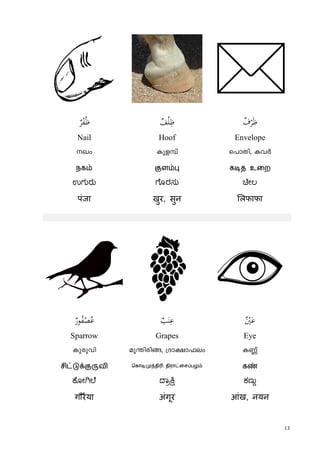 13
ٌ‫ﺮ‬ْ‫ﻔ‬ُ‫ﻇ‬ ٌ‫ﻒ‬ْ‫ﻠ‬ِ‫ﻇ‬ ٌ‫ف‬ْ‫ﺮ‬َ‫ﻇ‬
Nail Hoof Envelope
Jw Ipf¼v s]mXn, IhÀ
நகம் குளம்பு கடித உைற
ಉಗುರು ೊರಸು ೕಲ
पंजा खुर, सुन लफाफा
l  j
ٌ‫ﻮر‬ُ‫ﻔ‬ْ‫ﺼ‬ُ‫ﻋ‬ ٌ‫ﺐ‬َ‫ﻨ‬ِ‫ﻋ‬ ٌْ‫ﲔ‬َ‫ﻋ‬
Sparrow Grapes Eye
Ipcphn ap´ncn§, {Zm£m^ew I®v
சிட்டுக்குருவி ெகாடிமுந்திr, திராட்ைசப்பழம் கண்
ೋ ೆ ಾ ಕಣು
गौरैया अंगूर आंख, नयन
 