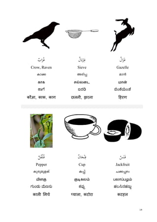 14
v kٌ‫اب‬َ‫ﺮ‬ُ‫ﻏ‬ ٌ‫ﺎل‬َ‫ﺑ‬ْ‫ﺮ‬ِ‫ﻏ‬ ٌ‫ال‬َ‫ﺰ‬َ‫ﻏ‬
Crow, Raven Sieve Gazelle
Im¡ Acn¸ am³
காக சல்லைட மான்
ಾ ೆ ಜರ ಂ ೆ ಂ ೆ
कौआ, काक, काग छलनी, झरना हरण
UA
ٌ‫ﻞ‬ُ‫ﻔ‬ْ‫ﻠ‬ُ‫ـ‬‫ﻓ‬ ٌ‫ن‬‫ﺎ‬َ‫ﺠ‬ْ‫ﻨ‬ِ‫ﻓ‬ ٌ‫ﺲ‬َ‫ﻨ‬َ‫ـ‬‫ﻓ‬
Pepper Cup Jackfruit
IpcpapfIv I¸v N¡-¸gw
மிளகு குடிகலம் பலாப்பழம்
ಗುಂಡು ಣಸು ಕಪ ಹಲ ನಹಣು
काल मच याला, कटोरा कटहल
 