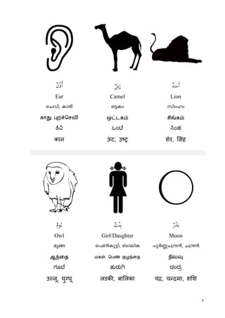 5
ُ‫ذ‬ُ‫أ‬ٌ‫ن‬ ِ‫ﺑ‬ِ‫إ‬ٌ‫ﻞ‬ ٌ‫ﺪ‬َ‫َﺳ‬‫أ‬
Ear Camel Lion
sNhn, ImXv H«Iw knwlw
காது, புறச்ெசவி ஒட்டகம் சிங்கம்
ಒಂ ೆ ಂಹ
कान ऊं ट, उ शेर, संह
M
ٌ‫ﻮم‬ُ‫ﺑ‬ ٌ‫ﺖ‬ْ‫ﻨ‬ِ‫ﺑ‬ ٌ‫ر‬ْ‫ﺪ‬َ‫ﺑ‬
Owl Girl/Daughter Moon
aq§ s]¬Ip«n, _menI ]qÀ®N{µ³, N{µ³
ஆந்ைத மகள், ெபண் குழந்ைத நிலவு
ಗೂ ೆ ಹುಡು ಚಂದ
उ लू, घु घू लडक , बा लका चं , च मा, श श
 