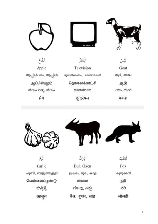 6
Aُ‫ـ‬‫ﺗ‬ٌ‫ﺎح‬‫ﻔ‬ ٌ‫ﺎز‬َ‫ﻔ‬ْ‫ﻠ‬ِ‫ﺗ‬ ْ‫ﻴ‬َ‫ـ‬‫ﺗ‬ٌ‫ﺲ‬
Apple Television Goat
B¸nÄ]gw, B¸nÄ Zqcho£Ww, sSenhnj³ BSv, APw
ஆப்பிள்பழம் ெதாைலக்காட்சி ஆடு
ೇಬು ಹಣು, ೇಬು ದೂರದಶ ನ ಆಡು, ೕ ೆ
सेब दूरदरषन बकरा
Gٌ‫ﻮم‬ُ‫ﺛ‬ ِ‫ﺛ‬ٌ‫ن‬‫ا‬َ‫ﲑ‬ ٌ‫ﺐ‬َ‫ﻠ‬ْ‫ﻌ‬َ‫ـ‬‫ﺛ‬
Garlic Bull, Oxen Fox
]qïv, shfp¯pÅn Ej`w, aqcn, Imf Ipdp¡³
ெவள்ைளப்பூண்டு காைள நr
ೆಳ ೋವ , ಎತು ನ
लहसुन बैल, वूषभ, सांड लोमडी
 