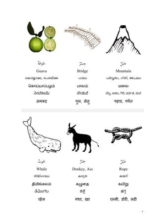 7
lٌ‫ﺔ‬َ‫ﻓ‬‫ا‬َ‫ﻮ‬ُ‫ﺟ‬ ٌ‫ﺮ‬ْ‫ﺴ‬ ِ‫ﺟ‬ ٌ‫ﻞ‬َ‫ﺒ‬َ‫ﺟ‬
Guava Bridge Mountain
sIm¿m¡, t]cbv¡ ]mew ]ÀÆXw, Kncn, ANew
ெகாய்யாப்பழம் பாலம் மைல
ೕ ೆ ಾ ೇತು ೆ ೆಟ, ಅಚಲ, , ಪವ ತ, ಮ ೆ
अम द पुल, सेतु पहाड, पपत
zٌ‫ﻮت‬ُ‫ﺣ‬ ٌ‫ﺎر‬َ
ِ‫ﲪ‬ ٌ‫ﻞ‬ْ‫ﺒ‬َ‫ﺣ‬
Whale Donkey, Ass Rope
XnanwKew IgpX Ibdv
திமிங்கலம் கழுைத கயிறு
ಂಗಲ ಕ ೆ ಹಗ
हेल गधा, खर र सी, डोर , लडी
 