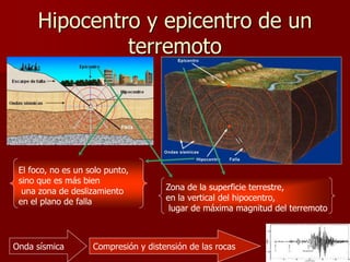 Hipocentro y epicentro de un
terremoto
El foco, no es un solo punto,
sino que es más bien
una zona de deslizamiento
en el plano de falla
Zona de la superficie terrestre,
en la vertical del hipocentro,
lugar de máxima magnitud del terremoto
Onda sísmica Compresión y distensión de las rocas
 
