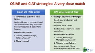 Welcome and introduction